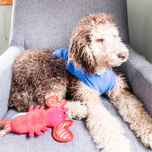 Load image into Gallery viewer, DOG YELLOW