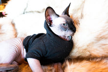 Load image into Gallery viewer, DOG BLACK