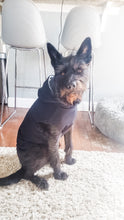 Load image into Gallery viewer, DOG BLACK