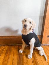 Load image into Gallery viewer, DOG BLACK