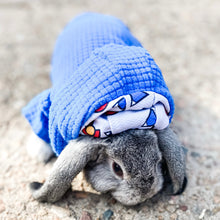 Load image into Gallery viewer, DOG BLUE