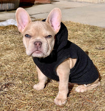 Load image into Gallery viewer, DOG BLACK