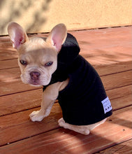 Load image into Gallery viewer, DOG BLACK
