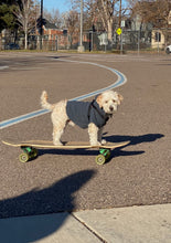 Load image into Gallery viewer, DOG BLACK