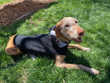 Load image into Gallery viewer, DOG BLACK