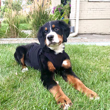 Load image into Gallery viewer, DOG BLACK