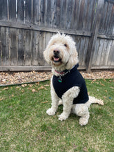 Load image into Gallery viewer, DOG BLACK