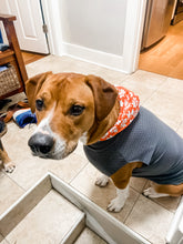 Load image into Gallery viewer, Orange patterned hood lining on a handmade Polartec dog hoodie