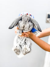 Load image into Gallery viewer, Colorado Dog Hoodie