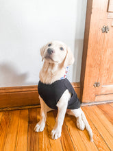 Load image into Gallery viewer, Colorado Dog Hoodie