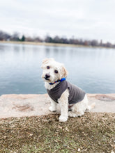 Load image into Gallery viewer, Colorado Dog Hoodie