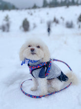 Load image into Gallery viewer, Colorado Dog Hoodie