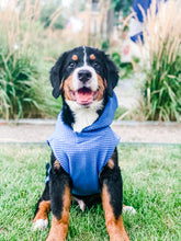 Load image into Gallery viewer, Colorado Dog Hoodie