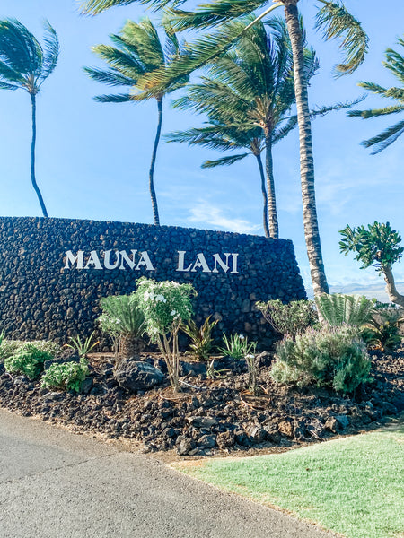 Big Island Kohala Kailuna - Kona sights Rudy Adventures