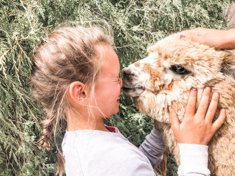 That time we stayed on a FARM