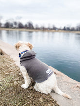 Load image into Gallery viewer, DOG RUST
