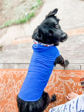 Load image into Gallery viewer, Rudy Adventures Dog Polartec Adventure Hoodie – Black
