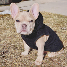Load image into Gallery viewer,     Black Polartec dog hoodie worn by a French bulldog outdoors
