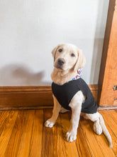 Load image into Gallery viewer,     Black Polartec dog hoodie worn outdoors by a dog
