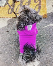Load image into Gallery viewer, Rudy Adventures Dog Polartec Adventure Hoodie – Black
