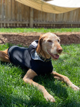 Load image into Gallery viewer, Rudy Adventures Dog Polartec Adventure Hoodie – Black
