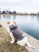 Load image into Gallery viewer, Colorado Dog Hoodie
