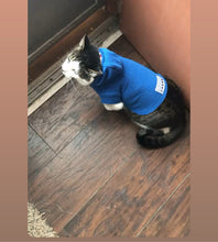 Load image into Gallery viewer, BLUE PETS
