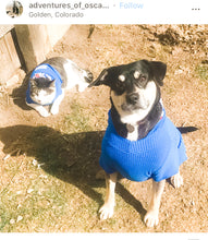 Load image into Gallery viewer, BLUE PETS
