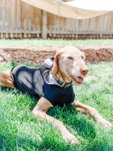Load image into Gallery viewer, BLACK PETS
